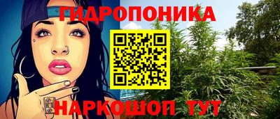 шишки Ливны