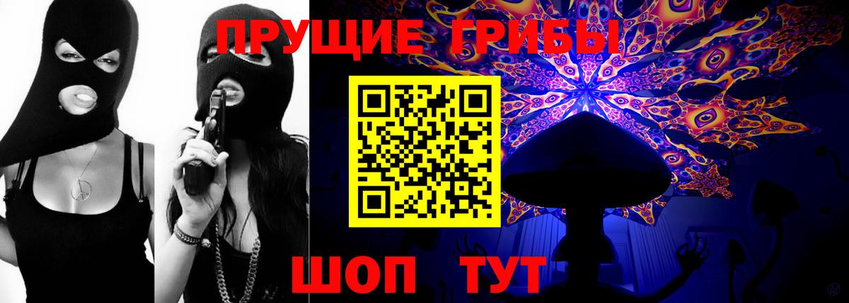 Псилоцибиновые грибы Psilocybine cubensis Егорьевск